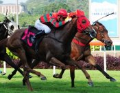 Super Ninetyseven finishes best to claim Race 9 on Sunday.<br>Photo by Singapore Turf Club